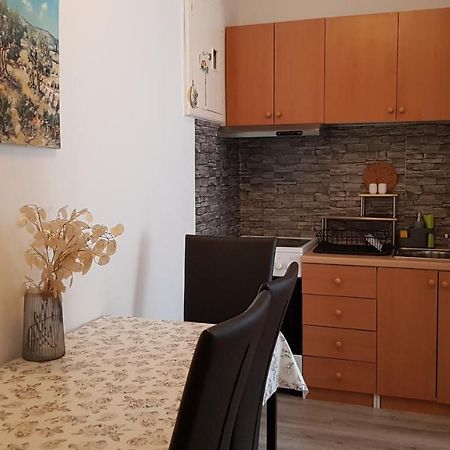 Apartman Lara Leilighet Rijeka Eksteriør bilde
